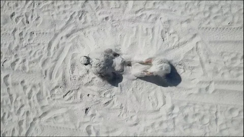 Man Jumps from Under Sand and Tricks Plays and then Falls Comedy Drone Stock Footage 88415014