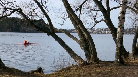 Man kayaking alone in the river behind trees with city in background Stock Footage 98011406