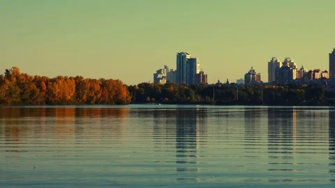 Man kayaking on the bay on the cityscape Stock Footage 98563104