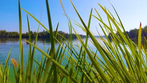 Man kayaking Stock Footage 160987251
