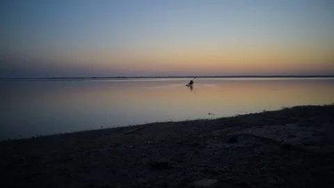 Man kayaking on lake during sunset Vidéo 82354863