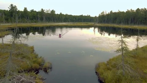 Man Kayaks towards Camera in Marshy Lake Stock Footage 75873581