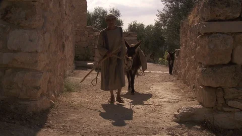 Man in keffiyeh walking donkey down dirt path in Galilee Stock Footage 86759521