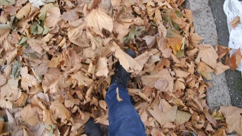 Man Kicking Fall Leaves in Dark Jeans and Black Shoes in Slow Motion Stock Footage 89700210