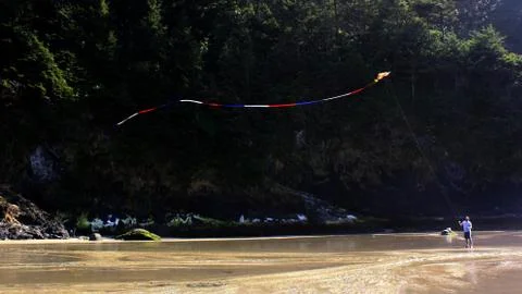 Man with Kite Stock Photos