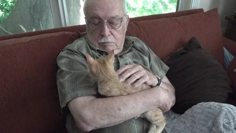 Man with kitten Stock Footage 106264001