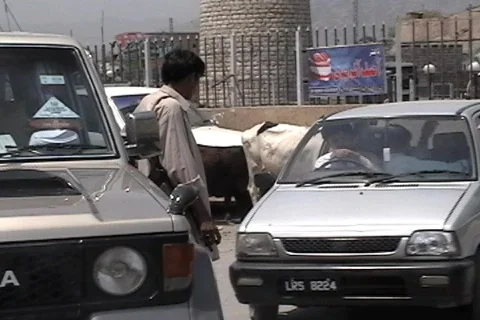 Man with Klashnikov at the Khyber Pass Stock Footage 709152