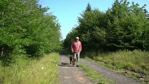 A man with knee pain Stock Footage 246874093