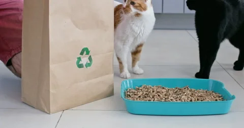 Man kneeling down uses hands to distribute pellets across tray Vídeos de archivo 286034235