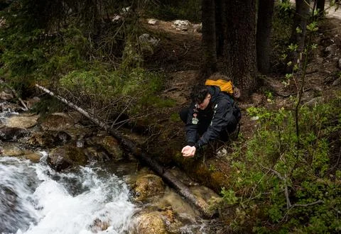 Man kneeling by a forest stream Stock Photos