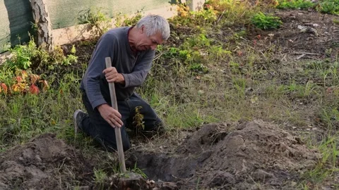 A man kneels on the ground and uses a shovel to dig out a tree stump Stock-Footage 347288341