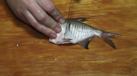 Man with knife hacking fish bones Stock Footage 36004714