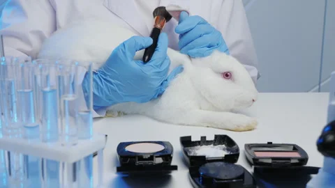 A man in a laboratory tests cosmetics on rabbits Stock Footage 281934720