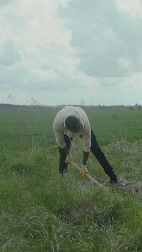 A man laboring in a field demonstrates dedication and perseverance Stock Footage 305876852