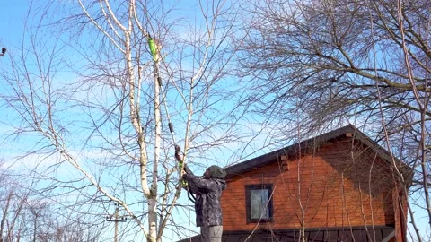 A man on ladder cuts out extra branches from a birch using an electric delimber Video stock 234786143
