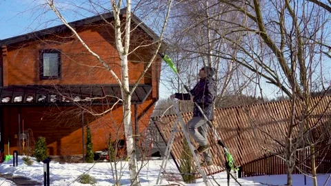 A man on a ladder cuts out extra branches from a birch using electric delimber Stock Footage 234786168