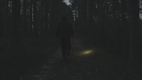 A man with a lantern walks along a path in a dark forest Video stock 194442720