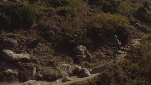 Man with a large backpacker goes hiking on a mountain trail Stock-Footage 259791688