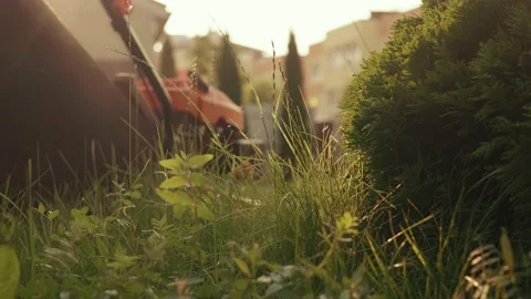 Man with lawn mower in front yard Stock Footage 158149422