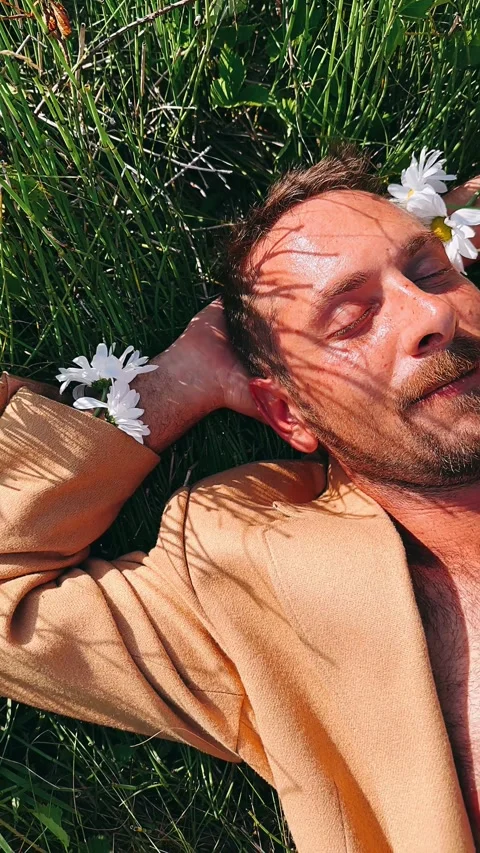 Man laying in grass, grass, field, flowers, floral, portrait of a man relaxing, Stock Footage 247204728
