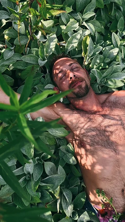 Man laying in grass, grass, portrait of a man, statue, art, garden, Stock Footage 246832417