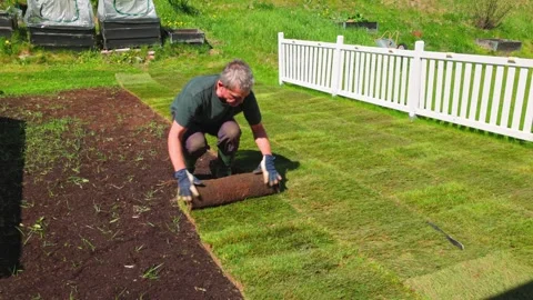Man laying sod roll edge-to-edge with previous section during spring lawn Video stock 309427795