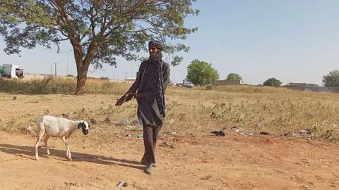 Man Leading Sheep With Rope Dawakin Kudu Kano Nigeria 動画素材 324813053