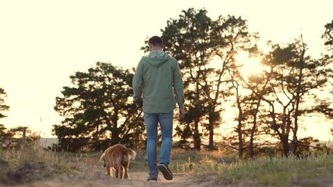 Man leads cute cocker spaniel dog walking along rural road in park lit by sunset Foto stock