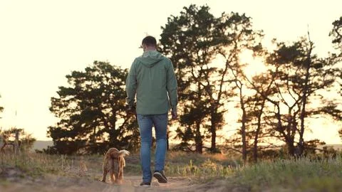 Man leads cute cocker spaniel dog walking along rural road in park lit by sunset Foto stock