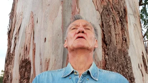 Man leaning against a Eucalyptus Tree Video stock 296413341