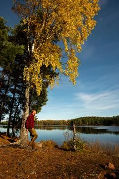 Man leaning on tree by lake in fall Stock Photos