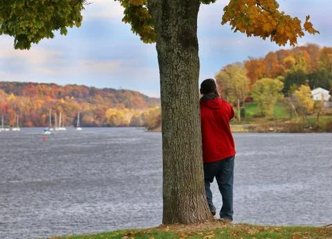 Man leaning on tree on phone calling while enjoying the scenic fall colors by Stock Photos