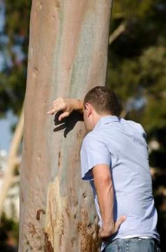 Man leaning on tree. Stock Photos