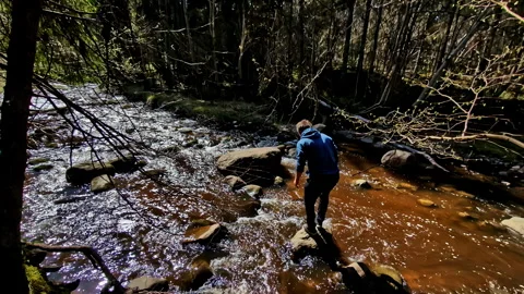 A Man Leaps Across a Rocky Stream in a Sunlit Forest, Capturing a Moment of Stock Footage 311430824