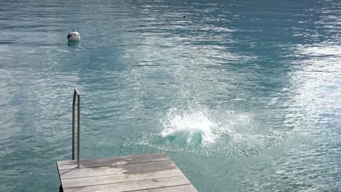 Man leaps from dock into clear blue water in Lake Thun Switzerland Video stock 343880995