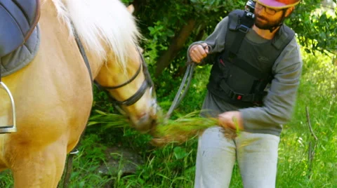 Man learning horse back riding, outdoor Video stock 51367995