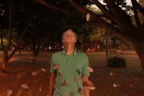 Man with leaves falling down all around him Stock Photos