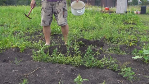 A man leaves the garden 4K Stock Footage 325988363