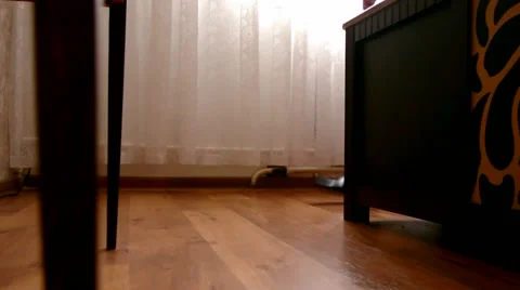 A man leaves the room Stock Footage 58053592