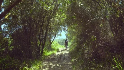 Man leaves the thicket of the forest Stock Footage 112295050