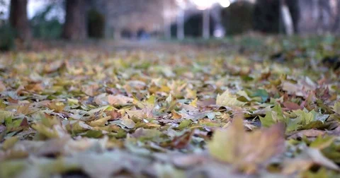 Man Legs Walking Away on Fallen Leaves in Autumn Alley. Stock Footage 71272218