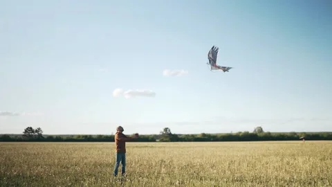 A man lets fly a kite An eagle flies in the sky Bright rays of the sun A kite Stock Footage 154735317