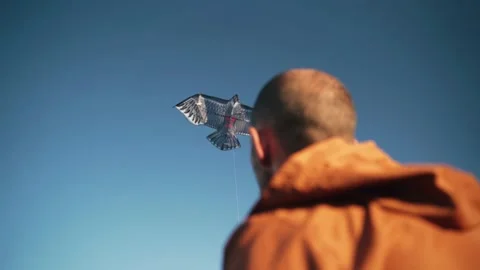 A man lets fly a kite An eagle flies in the sky Bright rays of the sun A kite Stock-Footage 154764407