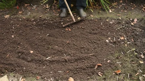 A man levels the bed with a rake. Stock Footage 141254787