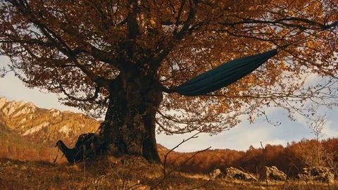 Man lies in hammock in woods Stock Footage 81716838