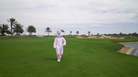 Man in life size Easter bunny costume or rabbit jumps, walks, runs, have fun on Stock Footage 108179148