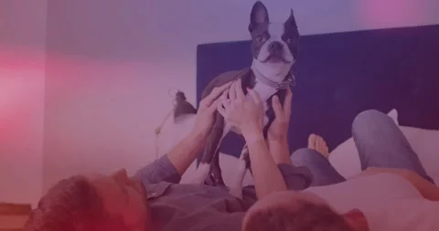 Man lifting dog triggers couple steadying dog for pet-care while pink flare Stock Footage 330767853