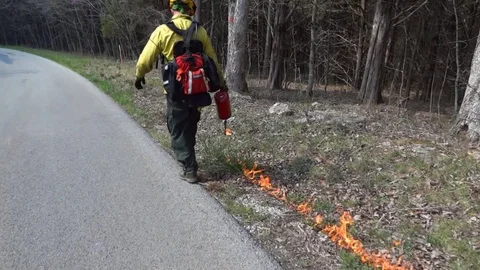 Man Light Fire Beside a Road with a Drip Torch Stock-Footage 73901774