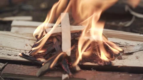Man lighting fire tinder from birch bark using wood chips in the forest. Vídeo Stock 280227006