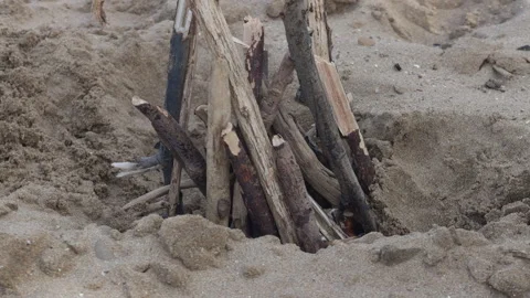 Man Lights Small Fire In Hole On Sandy Beach With Lighter Stock Footage 344910148
